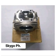 Skygo Cylinder Head / hero 125