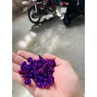 Yamaha gr5 screws are standard in shiny colors, guys