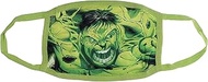 Concept One Marvel Hulk Adult Face Mask, Multi