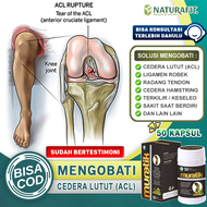 Obat Cedera Lutut ACL Ligamen Robek Cedera Otot Pelumas Sendi Lutut Cedera ACL Radang Tendon Achille