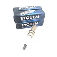 Spark Plug Eyquem for Peugeot 207 307 407 408(2.0) 807 Citroen C4 C5 C8 Evasion Picasso  -   A100   
