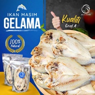 Ikan Masin Gelama Belah/Ikan Masin/Ikan Masin Gelama/Gred A（250g+-）/ Salted Fish