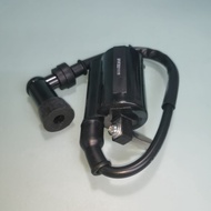 KTN 200 - Ignition Coil (Plug Coil) w Plug Cap