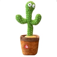 Talking toy cactus