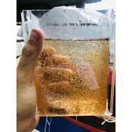 Daphnia Magna (Save Package) 3 Packs