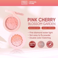 HOLD LIVE Pink Cherry Blossom Garden Blush Holdlive 粉樱花园腮红 渐变哑光腮红