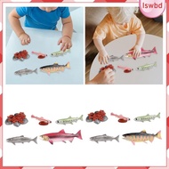 [lswbd] Life Cycle of Salmon Toys Animal Growth Cycle Set for Daycare Presentations