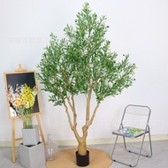 Amazon Large Simulation Olive Tree Influencer Olive Tree Removable Assembly Saving Volume Nordic Win