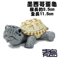 五5新0↓↓YU青島水族TQ-02手工原創仿真陸龜模型3D擬真模型 陸龜公仔 澤龜水龜烏龜麝香龜==Q版/墨西哥蛋龜