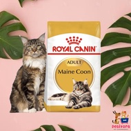 Maine Coon Adult 400Gr