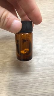 婆難等五鬼C油