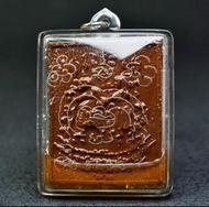 阿贊堆徐祝早中期