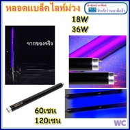 หลอด blacklight แบล็คไลท์ T8 LIGHTING ขนาด 18W 36W สีม่วง แบบสั้น 60เซน และ120เซน ใช้สำหรับดึงดูดแมล