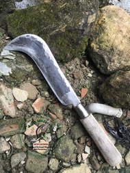 Golok batok kelapa tua