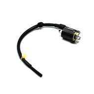 AHM COIL BEAT F1 ROUGH | 30510-K25-901