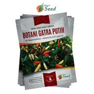Benih IPB Unggul Cabai BOTANI GATRA PUTIH @ 5 gram benih