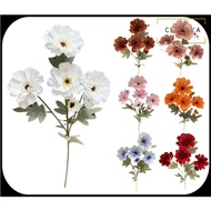 6 Heads Zinnia Flower Wedding Home Decor | Bunga Pelamin Murah Hantaran Bunga Hiasan Dalam Rumah Ata