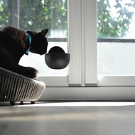 寵物碗/Bubble貓咪/貓碗架/貓碗/寵物用品 /寵物飲