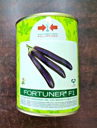 FORTUNER F1 HYBRID LONG VIOLET EGGPLANT SEEDS (50 GRAMS) EAST WEST SEED