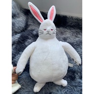 2hand teddy bear ĐG25 cents