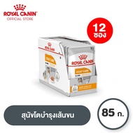 [ยกกล่อง 12 ซอง] Royal Canin Coat Care Pouch Loaf โรยัล คานิน อาหารเปียกสุนัขโต ทุกขนาด บำรุงเส้นขน 