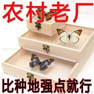 ☀️Taiwan Good Things☀️ Solid Wood Three-Dimensional Butterfly Insect Specimen Box Fossil Collection 