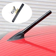 LAIFU FM Short Radio Antenna for Cars, Car Accessories 12cm Carbon FiberAuto Pro Zone