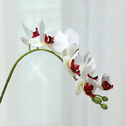 5Pcs Artificial 7head Latex Phalaenopsis Flowers Home Room Decoration Fake Flower Butterfly Orchid W