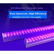 UV Curing UV Light Tube T8 395nm