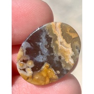 Fossil Nibong Tua Bekristal Multicolour Asli (22mm x 16mm)