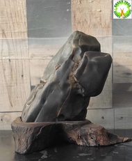 Suiseki stone / Ornamental Stone for Living room / Office / Home decoration 雅石/纯天然奇石/观赏石  (23cm x 12