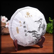 Lady Portable Easels Plate Holders Display Stand Stander Picture Frame Photo Tools Display Dish Rack