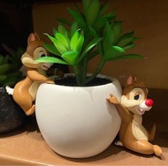 🔆香港迪士尼代購 🎡chip and dale 奇奇蒂蒂 彷植物盆栽 擺設