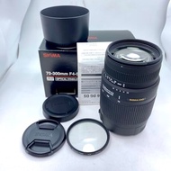 [USED] Sigma 70-300mm F4-5.6 DG OS for Canon 70-300mm F4-5.6 DG OS EO
