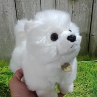 Sale!! Boneka Anjing Mini Pom Putih ~[By:Ctz]-Tbk