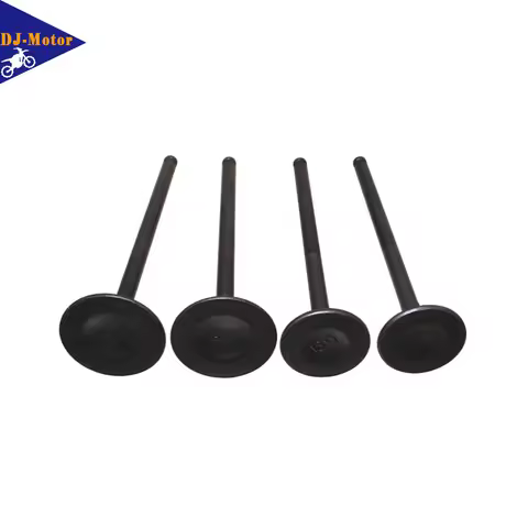 DJ-Motor Intake Exhaust Valves For Daytona Anima 150 190 4V FLX FDX FE Engine 150cc 190cc Motor Dirt