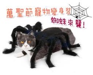 🈶開發票【寵愛生活本舖】寵物蜘蛛變身裝 萬聖節派對 寵物衣服 蜘蛛裝 狗衣服 貓衣服