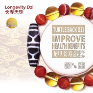 Dzi Kingdom Turtle Back Dzi Improve Health Benefits Bracelet Necklace 龙甲长寿天珠 延年益寿 天珠王国手链/项链