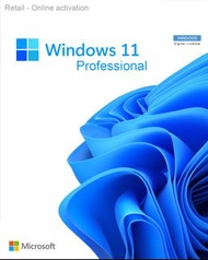 Windows 11 Home / Professional