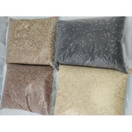Kambu/Millet/ Makanan Burung 1kg