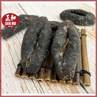 珠婆参小小海参南非 50-60克 1个 South Africa Sea Cucumber Teat Extra Small 50-60g Teat Fish 猪婆参 1 pieces