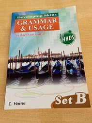developing skills grammar & usage set b