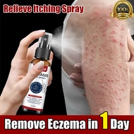 Japan Eczema Treatment Ointment Antibacterial Psoriasis Spray Health Itching Relief Skin Spray 30ml