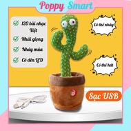 Dancing Cactus, Mocking Cactus _ Loanguyen