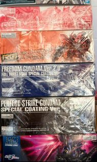 MG RG HG Gundam 高達 模型 自由 突擊  Hi Nu Freedom Sazabi special coating Titanium Finish 電鍍 全新