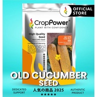 HOT ITEM🔥 (1000 SEEDS) Biji Benih Timun Tua Gold bar 金霸 OC575 CROP POWER F1 HYBRID Old Cucumber Seed