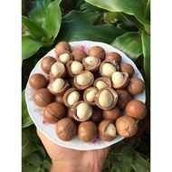 500GR Hạt Macca Daklak loại 1 tách vỏ size trung