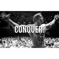 Arnold Schwarzenegger Poster Inch Inch