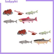 [JoyDIY] Life Cycle of Salmon Toys Educational Teaching Tools Preschool Animal Growth Cycle Set for Games Party Presentations Teaching