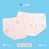 Combo of 2 Chapter Ocean oak fiber beveled liners of all sizes B-LE-QUAN